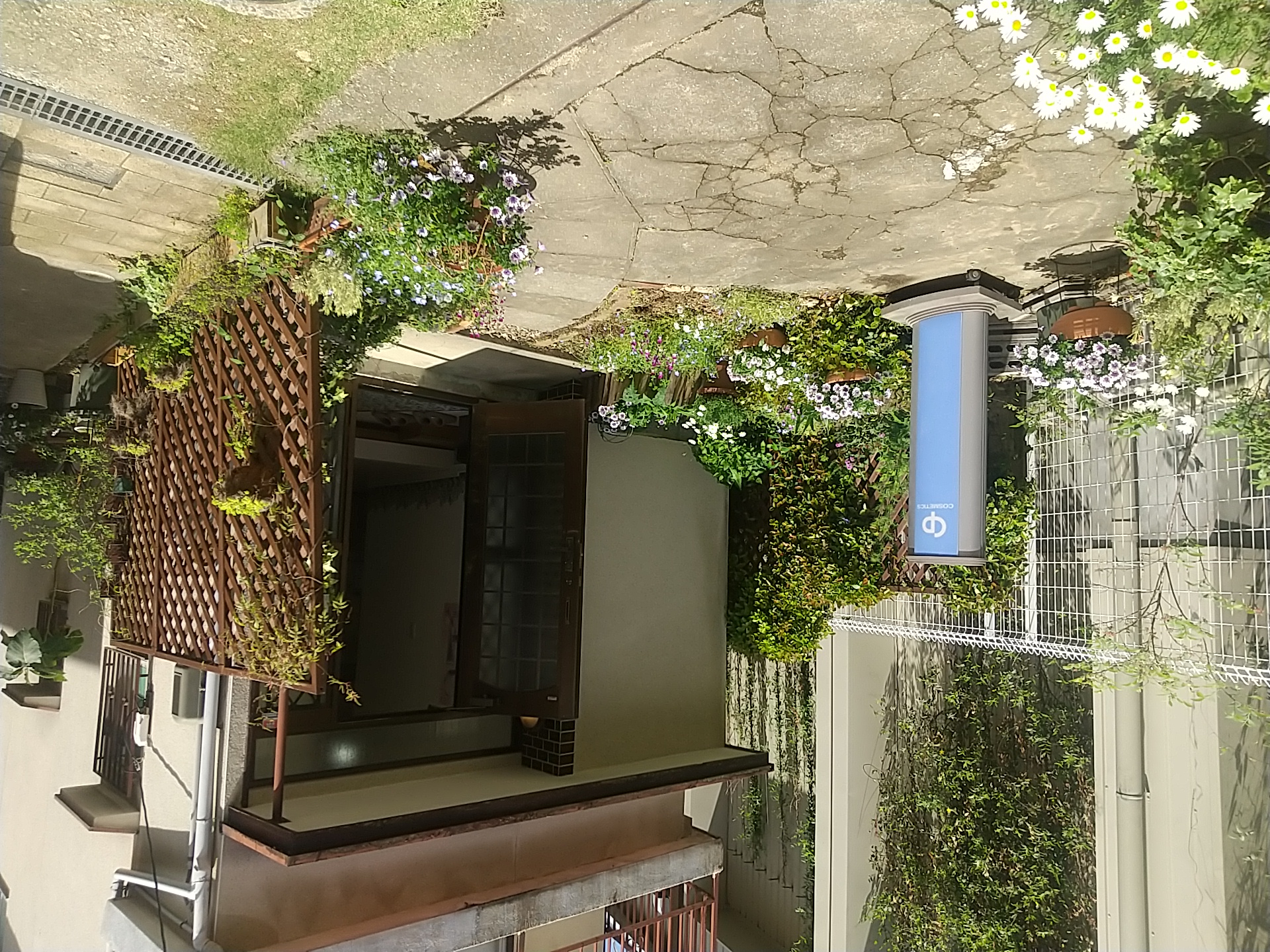 CPサロン プレールの入口